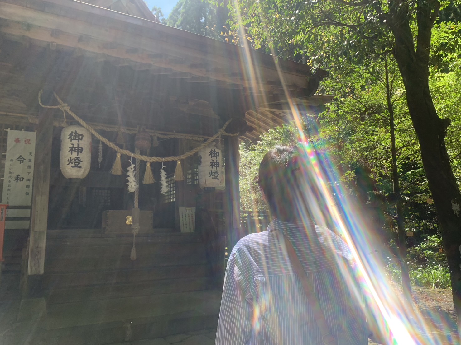 Moon Lightの紹介写真