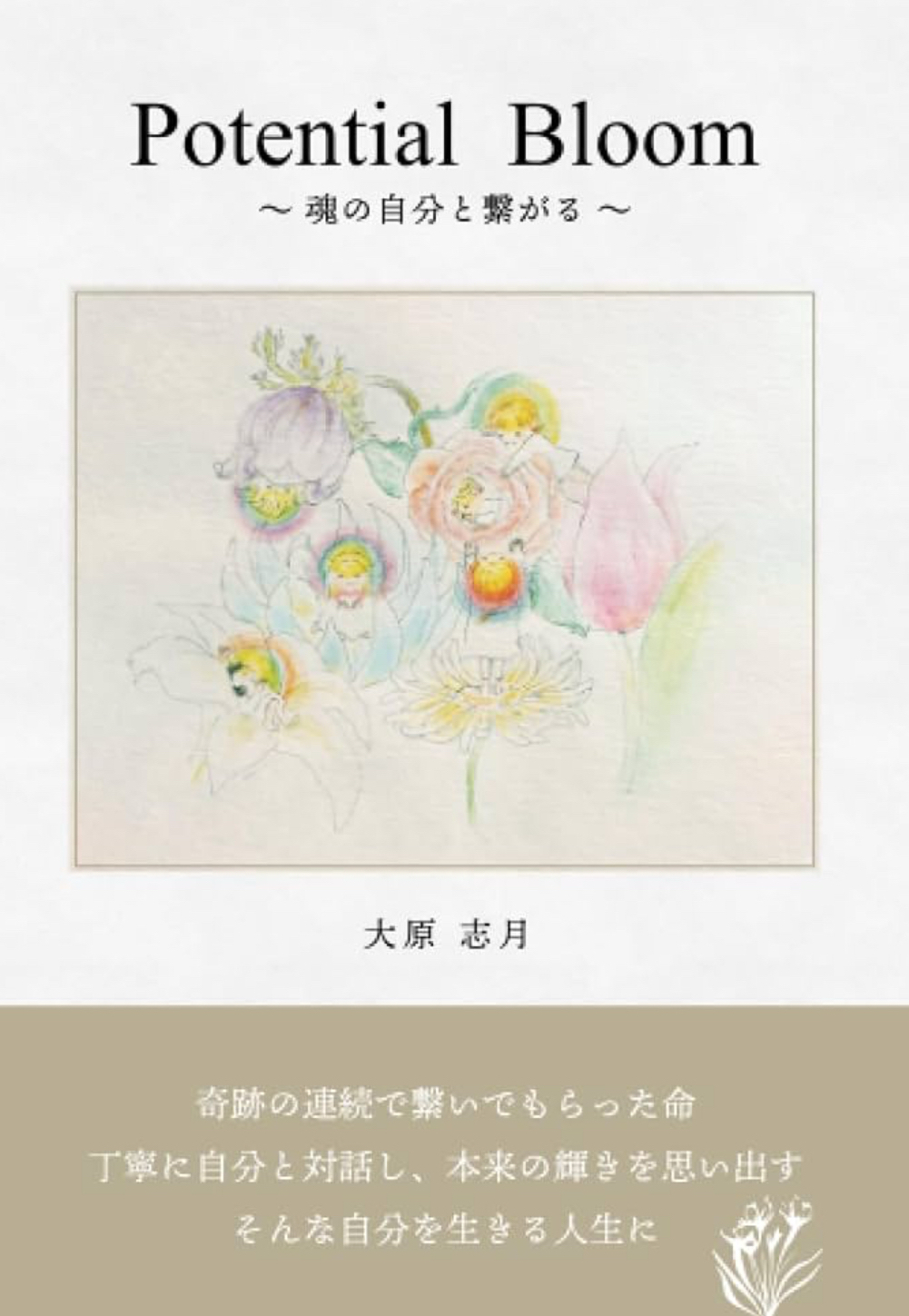 Remia の紹介写真
